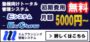Mプランニング